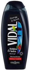 Vidal&nbsp,&ndash,&nbsp,Dusche Shampoo Energizing, Ginseng und Guarana ', 250&nbsp,ml