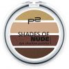 p2 cosmetics Shades of Nude Eye Shadow Palette 030, 3er Pack (3 x 4 g)